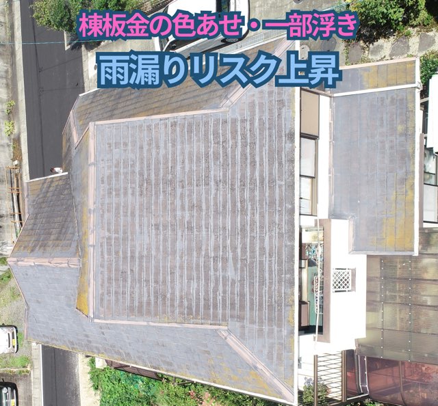 屋根全景。棟板金の色あせと一部浮きが確認され、雨漏りリスクが高まっている。