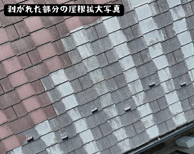 スレート屋根の剥がれ部分を拡大撮影。塗膜がはがれ、白く変色している様子。