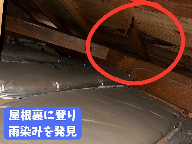 可児市　雨漏り　鍋順瓦工業のMS-117を使用していました　まずは室内を確認、クロスにひび割れがしておりそこから雨漏りしているようでした。その後、天井裏に上り野地板が黒くなっている雨漏りのシミを確認