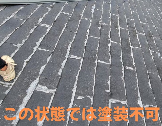 ニチハ　パミールは塗装不可