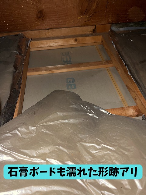 屋根裏　石膏ボードにも濡れて形跡あり