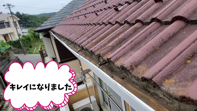 多治見市大藪町　雨樋の草を撤去し綺麗に　これで雨水が流れます