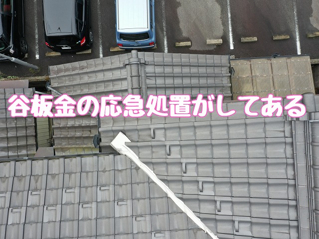 美坂町　谷板金応急処置