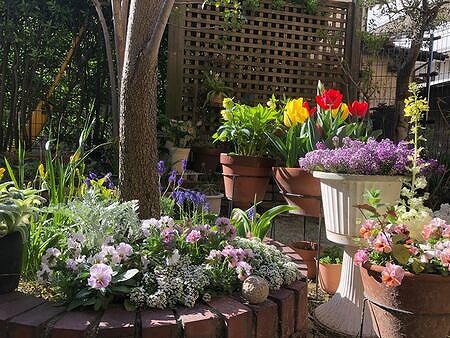 お庭が花いっぱいっで綺麗です