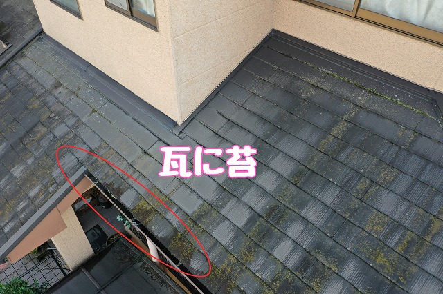 春日井市坂下町　瓦に苔