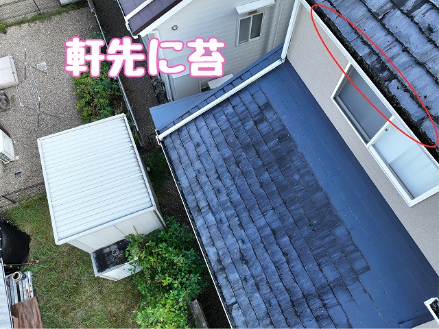 美濃加茂市蜂屋町　軒先に苔