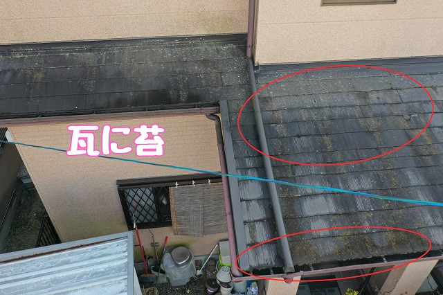 春日井市坂下町　瓦に苔