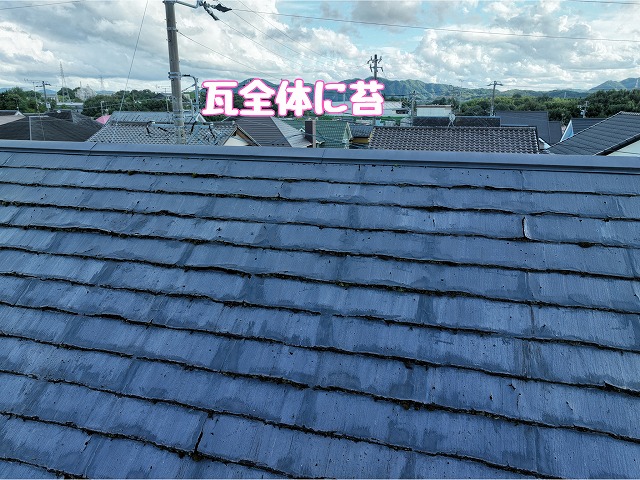 美濃加茂市蜂屋町　瓦全体に苔
