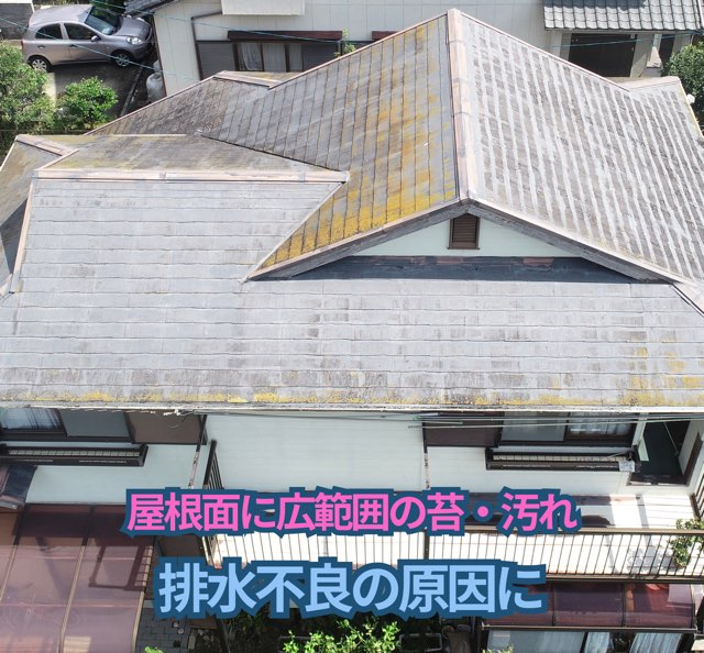 真上から撮影した屋根。全体に色あせと苔発生が見られ、防水機能低下のサインが出ている。