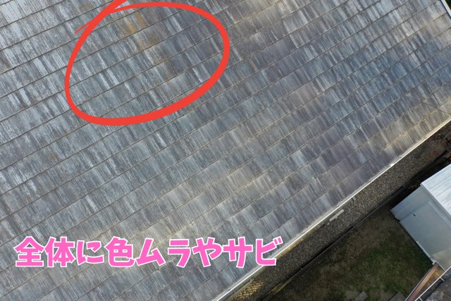 屋根全体を写した斜め上からの画像。スレート屋根にサビや色ムラが広がり、塗膜が剥がれたような状態が目立っている。