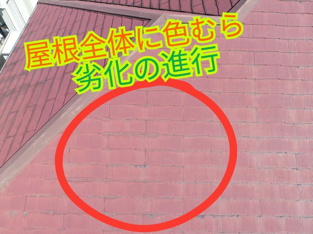 屋根全体に色むらが広がり劣化が進行している様子