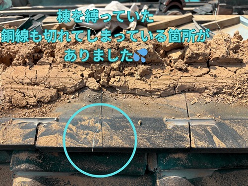 棟を縛っていた銅線も切れてしまっている箇所がありました