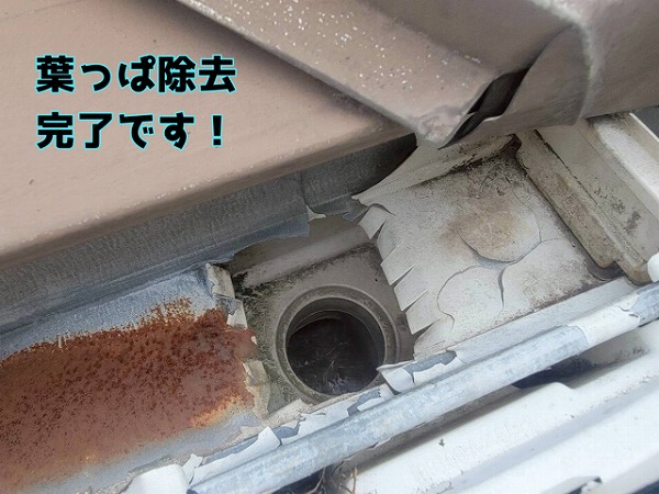 瑞浪市月吉町 集水器をすべて確認し、葉っぱをキレイに撤去します