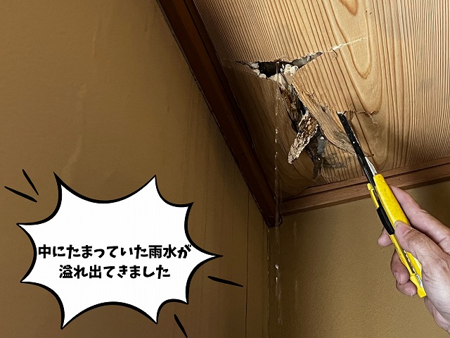 可児市 飲食店 天井から雨漏り ライブを確認するため天井を切り取ります。天井を切り取ると大量の雨水が溢れ出てきました