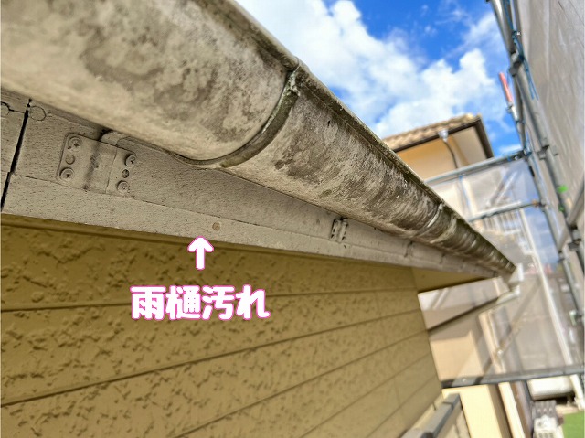 雨樋の汚れ確認