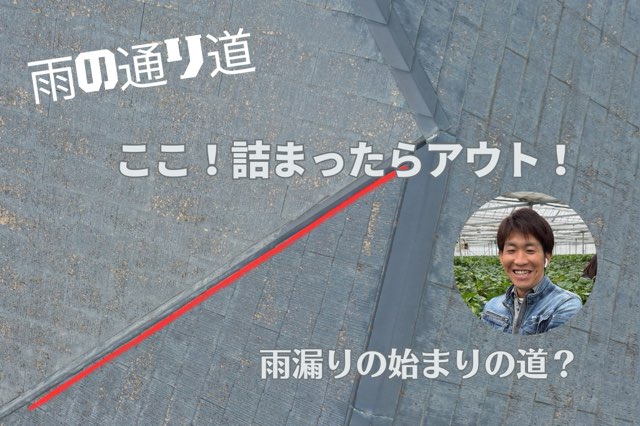 「谷樋に沿って黒ずみや雨だれ跡、スレートの色むらが見られる。」