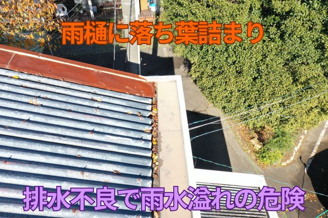 雨樋詰まり – 雨樋内部に落ち葉が大量に詰まり、排水不良を起こしている。