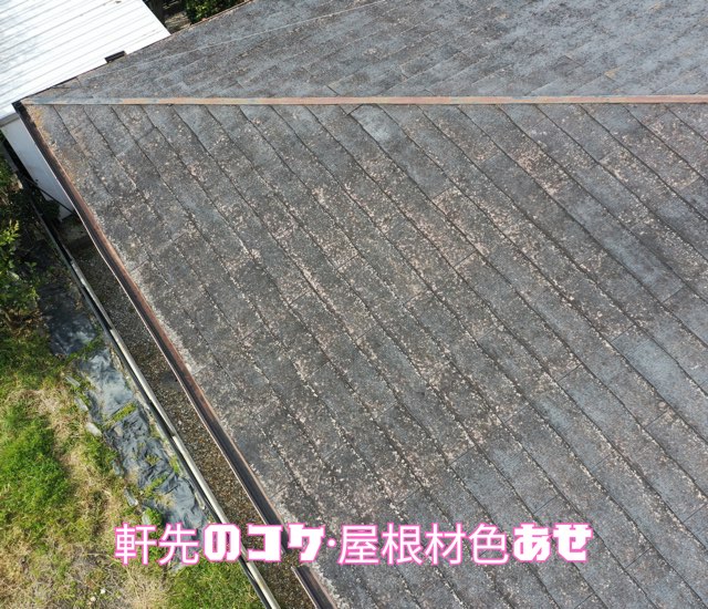 軒先部分にコケが生え、屋根材が色あせている。