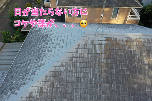 屋根の北側面に広がるコケや藻の発生。湿気がこもりやすく、スレート表面が黒ずみ、著しく劣化している様子が確認できる。