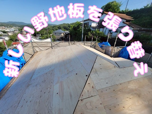 屋根全面に新しい野地板を張った状態