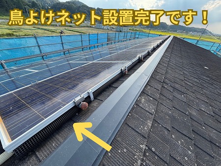 可児市にて鳥避けネット施工完了の様子