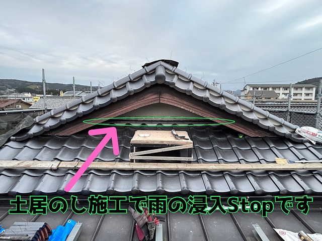 土居のしの写真