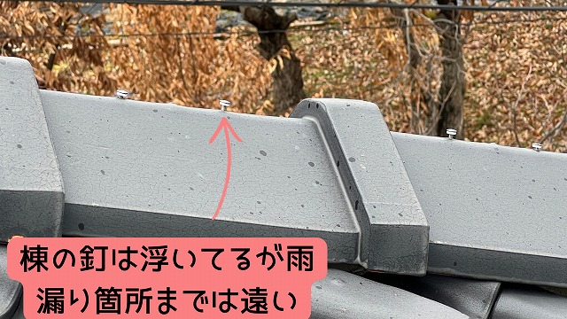棟釘の釘浮き