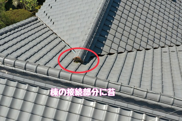 多治見市旭ヶ丘　棟の接続部に苔