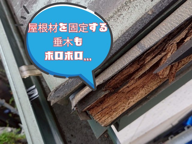屋根の端部から見た垂木の腐食状態。雨水の侵入で木材が剥がれ落ちている