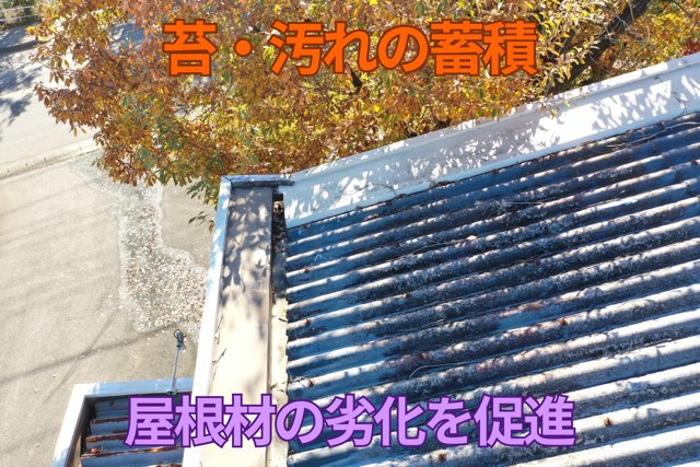 苔と汚れの蓄積 – 屋根材の表面に苔や汚れが厚くこびりつき、劣化を促進している。