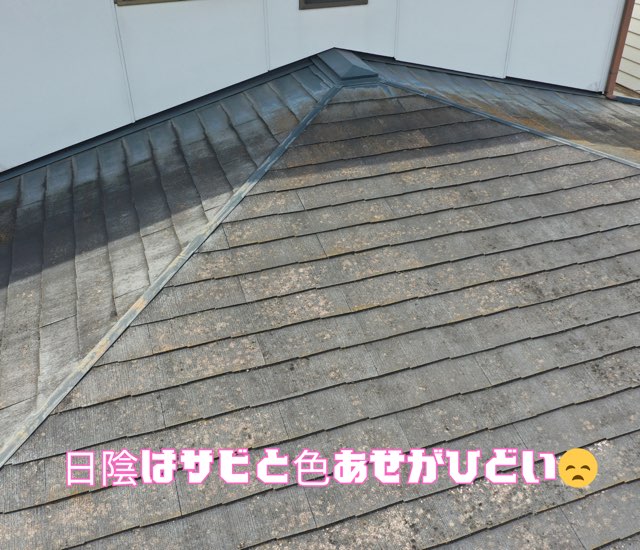 日陰になりやすい谷部に雨染みと屋根材の浮きが確認できる。