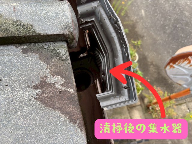 清掃後の集水器の中がすっきりと綺麗になり、水の通り道が確保された状態の写真
