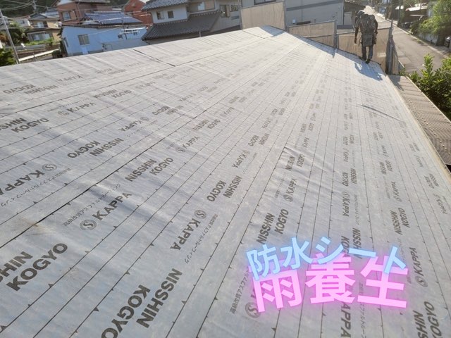 合板の上に防水シート（日新工業カッパ）を全面に敷いた屋根
