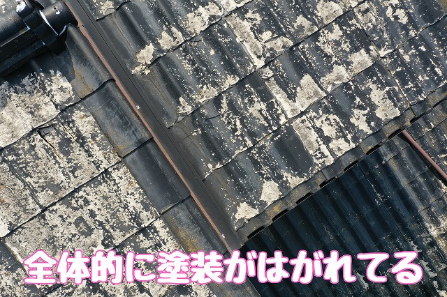 全体的に塗装がはがれてる