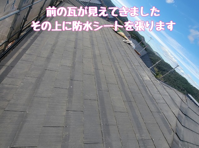 防水シートの張り込み