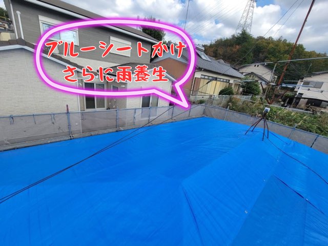 屋根全面を青いシートで覆い、ロープで固定した雨養生後の全景