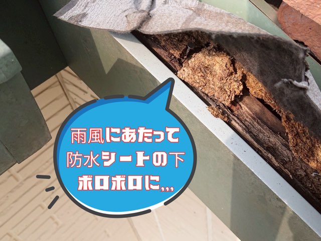 瓦をめくった下地の様子。防水シートの内側の木部が湿気で腐食してボロボロに