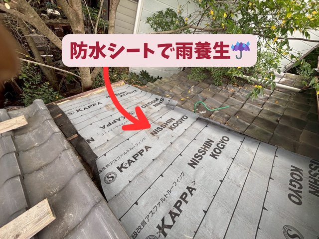 ニッシン工業製の防水ルーフィング「KAPPA」を敷き込んだ様子