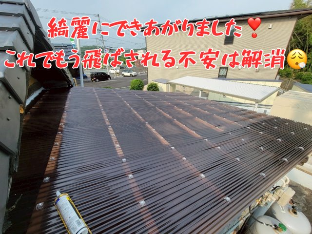 波型ポリカを張り終えた直後の屋根。ブラウン色のポリカが均一に敷かれ、光を反射している。