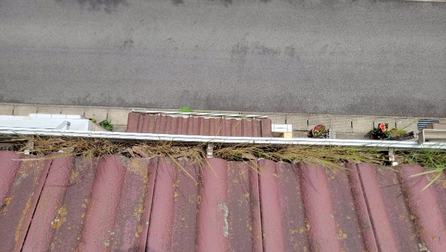 多治見市大薮町　樋に草