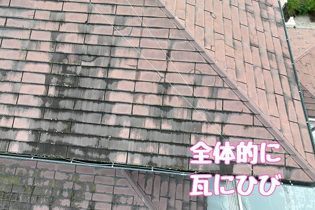 屋根材の表面に見られるひび