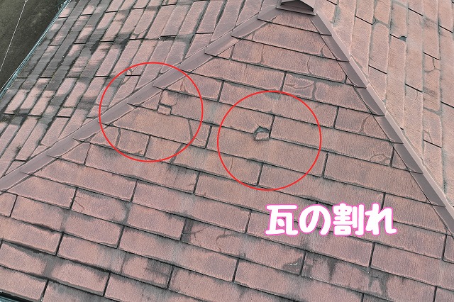 瓦の割れが確認できる箇所