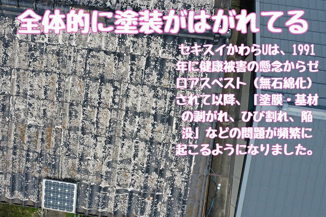 全体的に塗装がはがれてる（広範囲の劣化）