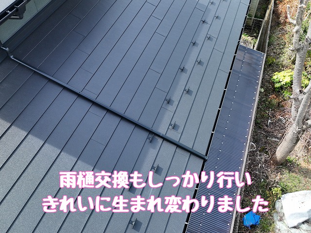 雨樋交換もあわせて実施し、外まわりを整える