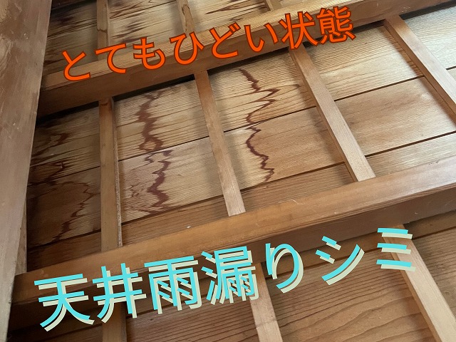 室内天井に広がる雨漏りのシミが確認できる様子