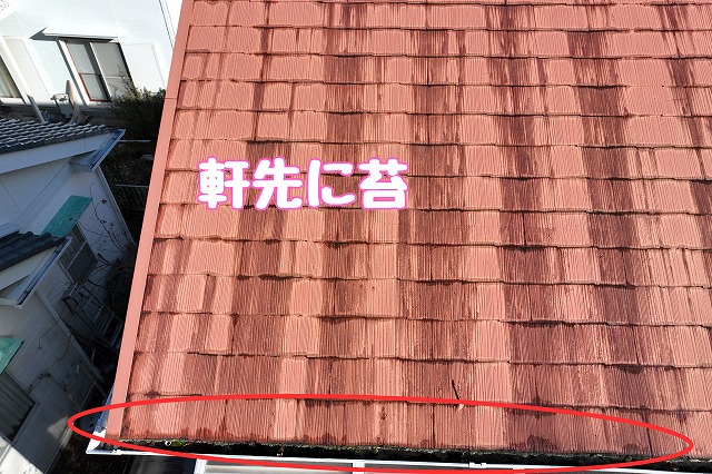 多治見市市之倉町　軒先に苔