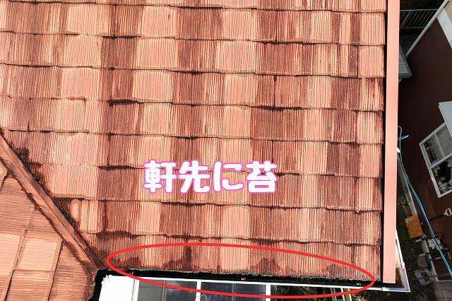 多治見市市之倉町　軒先に苔