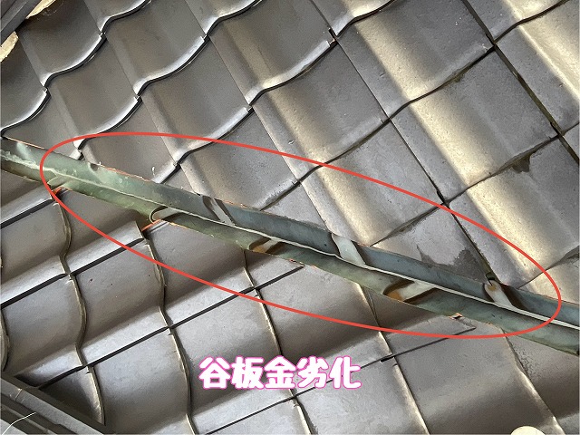 羽生ヶ丘　谷板金劣化