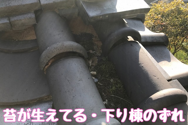多治見市小田名町　下り棟に苔