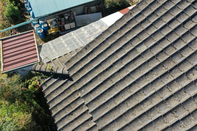 可児市　棟に草